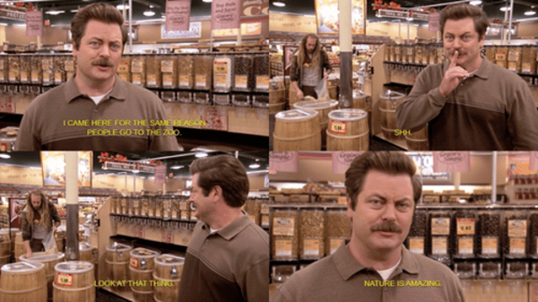 Buy the Pie.jpg
